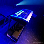 Alex Payler Electone Player www.alexpayler.com