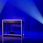 Alex Payler Electone Player www.alexpayler.com