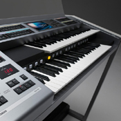 Alex Payler Electone Player www.alexpayler.com