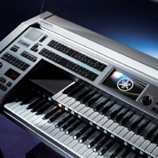 Alex Payler Electone Player www.alexpayler.com