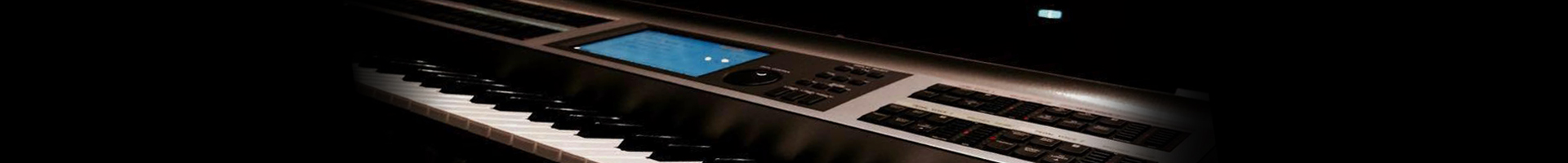 Alex Payler Electone Player www.alexpayler.com