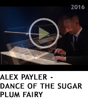 Alex Payler Electone Player www.alexpayler.com